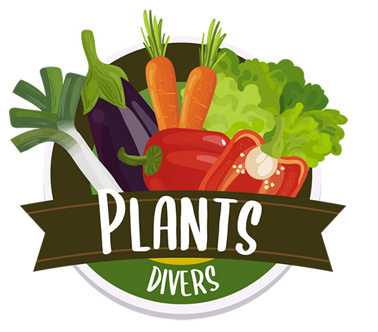 Plants Barthe maraicher ALBI