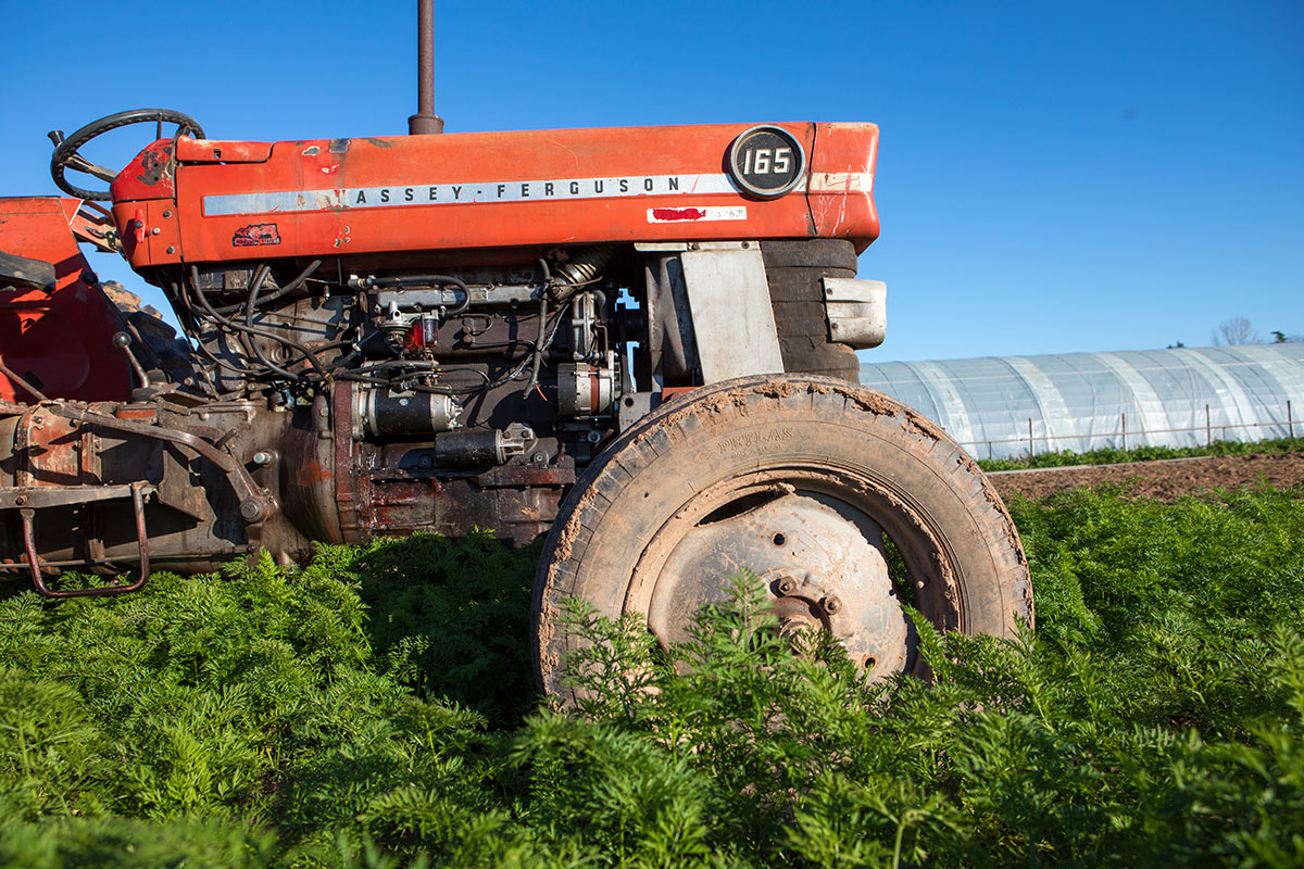 Tracteur Barthe albi